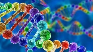 НАУЧИТЕСЬ ГОВОРИТЬ СО СВОЕЙ ДНК, ЧТОБЫ ВЕРНУТЬ ЗДОРОВЬЕ Учение Аркадия Петрова Древо Жизни