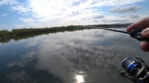 Приехали дубасить окуня на домашнем озере. Рыбалка, окуни, ультралайт!