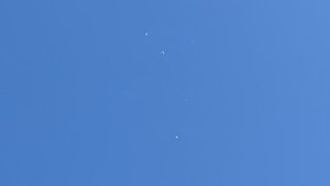 Бойные голуби г.Азов