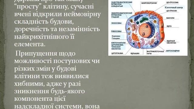 Еволюція життя
