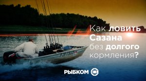 Быстрая и дешевая прикормка на сазана своими руками