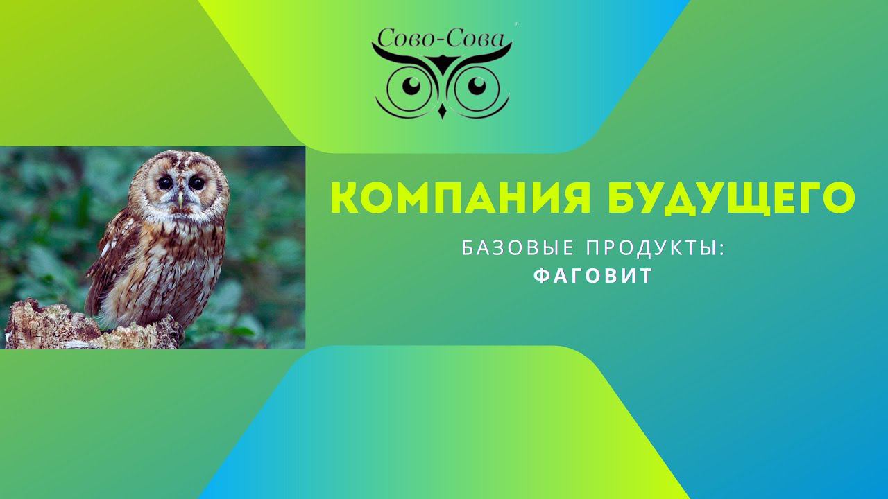 Фаговит. Сово-Сова смотреть онлайн