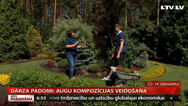 Dārza padomi: augu kompozīcijas veidošana смотреть онлайн