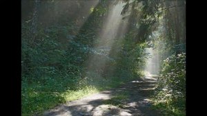 Луч солнца
