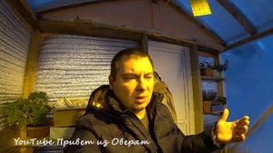 Зимняя теплица / Обзор посадок через 20 дней Январь