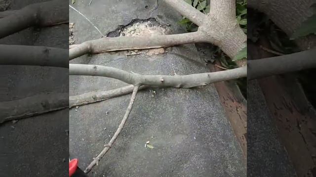 Ремонт крыши гаража • Наплавляемая мягкая кровля