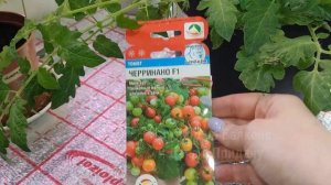 Делаю Обзор Огорода на Балконе. Выращиваю Помидоры и Огурцы. Огород на Окне 2023