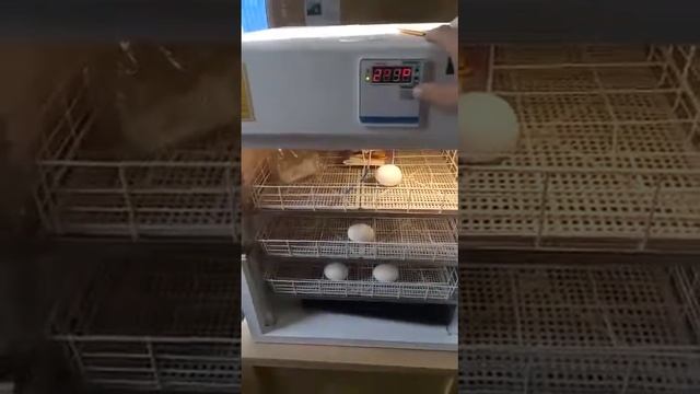 Инкубатор Фермер смотреть онлайн