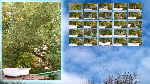 В очередь 2022 !! :-)