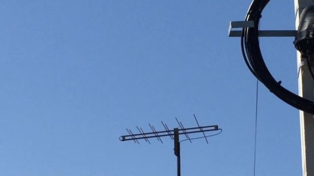 #Pigeons.Гости из Нижнего Новгорода. смотреть онлайн