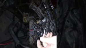 Замена лампы ближнего-дальнего света Kia Cerato LD 2008 2.0