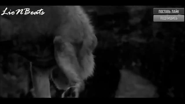 ✵Где бывают Боги✵ 2019 смотреть онлайн