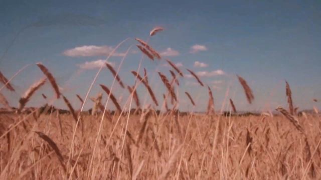 МОЩНОЕ ИСЦЕЛЕНИЕ безграничной любовью. Аффирмации расслабления под звуки природы. Восстановление си смотреть онлайн