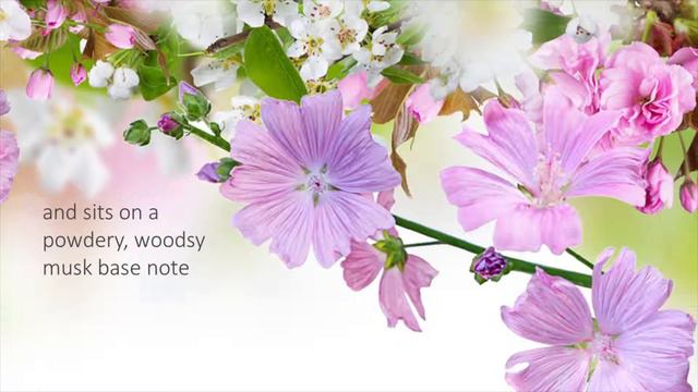 Lavender Apple Fragrance Oil- Natures Garden смотреть онлайн