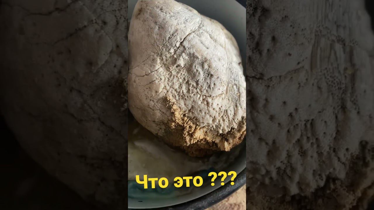 Необычный камень смотреть онлайн