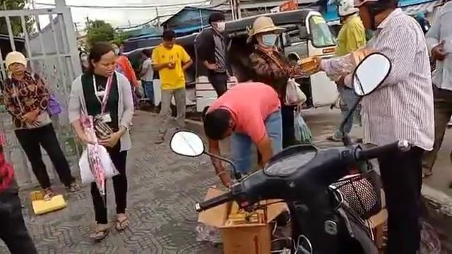 SESA OIL смотреть онлайн