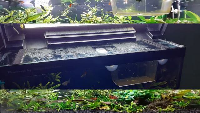 video album DIVERSA 60X30 - 2019.11.30 - Ld 5730 & 5050 rgb - смотреть онлайн