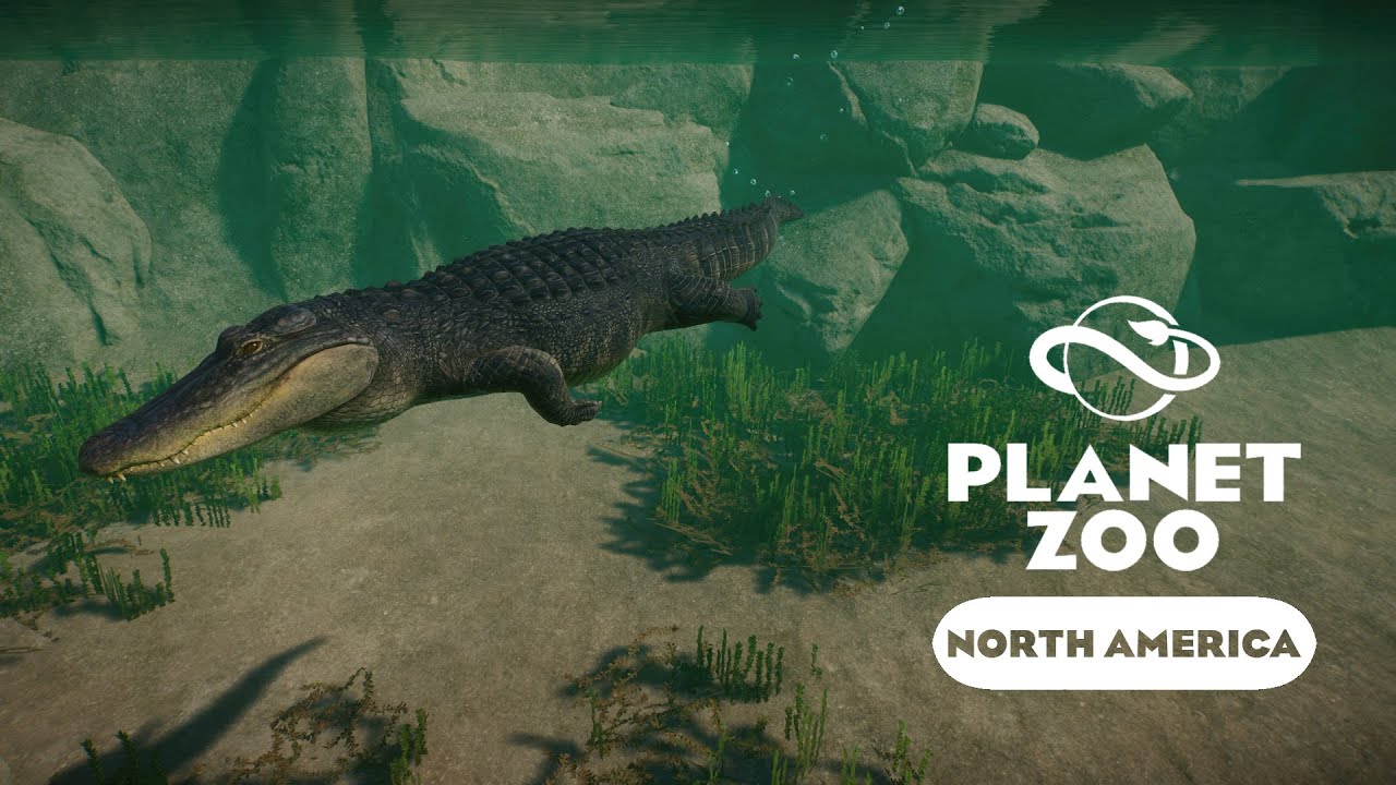 Planet Zoo North America - Миссисипский аллигатор