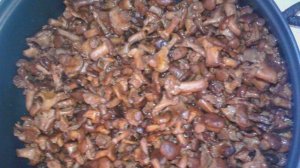 Заготовка лисичек на зиму