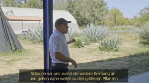 Auf den Spuren der Agave - Taiga im Proyecto Maguey (2/3)