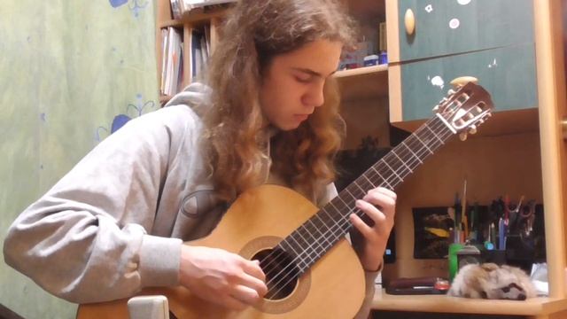 Ф. Таррега мазурка "Аделита". Играет Данил Машталер. смотреть онлайн