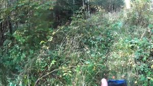 Поиск на урочище с Симплекс.