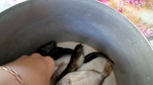 Рыбалка у Черного моря. Абхазия. Отпуск в Гаграх