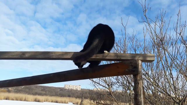 Славянск. 2 марта 2023г. Утро. смотреть онлайн