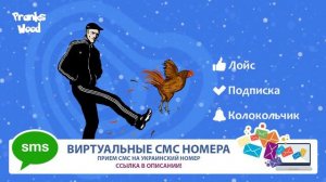 TYP808 - Лучшее со стрима 66