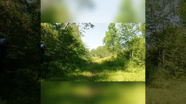 Поход Верея-Боровск 2018 смотреть онлайн