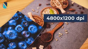 Обзор Canon Pixma G1411. Для кого этот принтер?