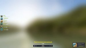 Толстоголов кольчужный, 200 грамм, игра Трофейная рыбалка 2, Базовый трофей, река Миссисипи