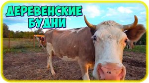 Деревенские будни / Делаю стойла для коров на улице