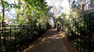 Сочи, Терренкур ноябрь 2023