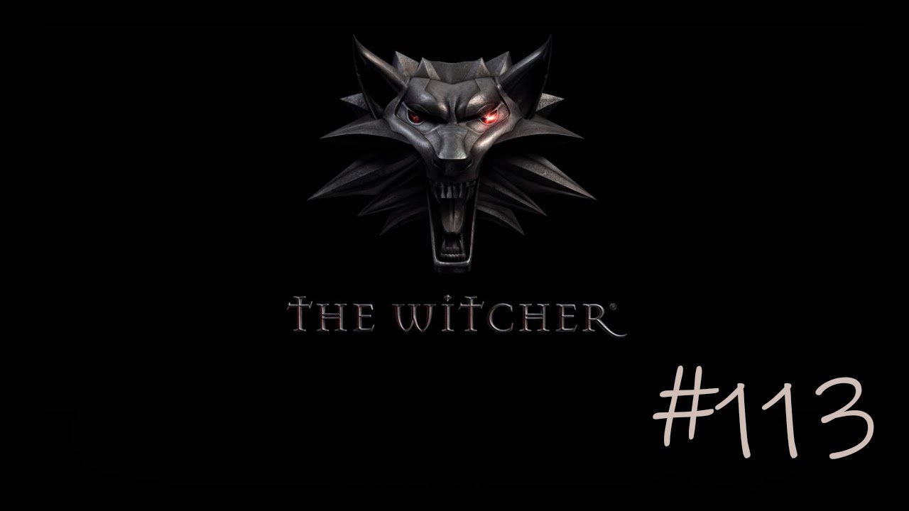 The Witcher #113