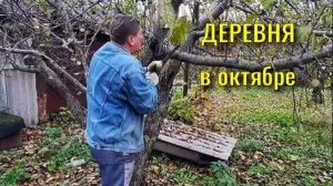 ДЕРЕВНЯ в ОКТЯБРЕ. ? Чем занимаемся? Приводим всё в порядок. Сходили да же за грибами. ?