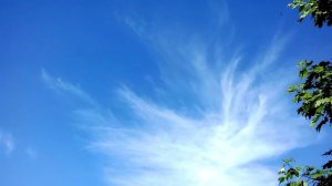 Ясно солнышко / Приколы