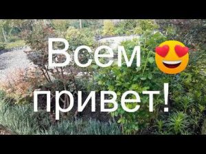 Апрельские будни