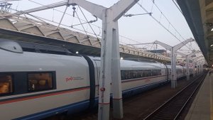высокоскоростной поезд "сапсан" прибывает на Ленинградский вокзал