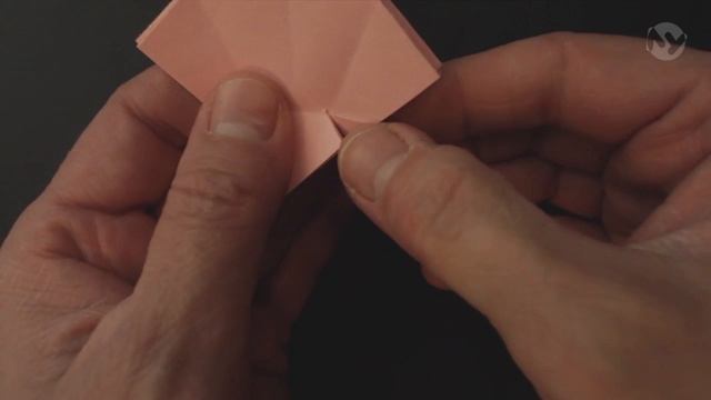 113 - Подводный мир. Часть 2 смотреть онлайн