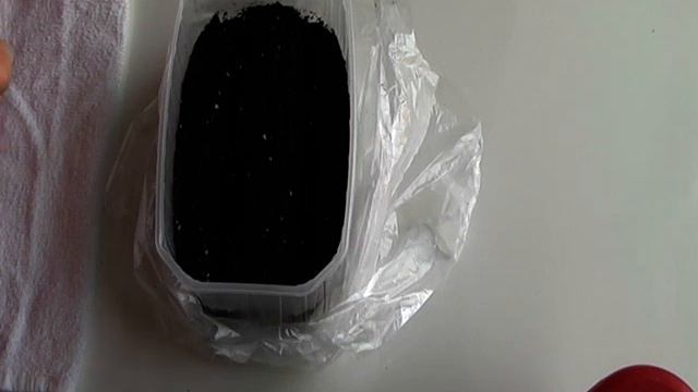 Мой алгоритм посадки семян на рассаду:) смотреть онлайн