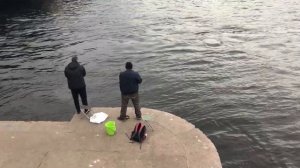 Любительская ловля корюшки в центре Санкт-Петербурга/Fishing on the Neva River St. Petersburg