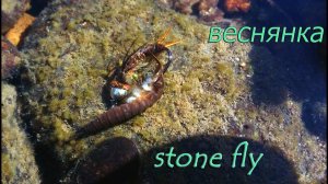 Мушка веснянка "stone fly nymphs " для ловли хариуса и ленка