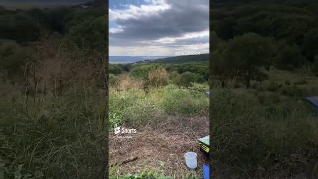 пишу картины на заказ telegram Chanel natalie.art.p смотреть онлайн