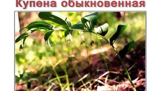 Пищевые отравления