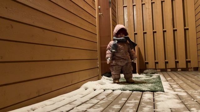 Домой на Шпицберген. Полярная ночь, город Лонгийр, Норвегия. смотреть онлайн