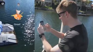 Факты о игре POKEMON GO /Покемон Го/