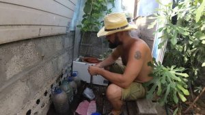 Черенки фейхоа. Состояние растений в подземной теплице на 1.08. 2021.