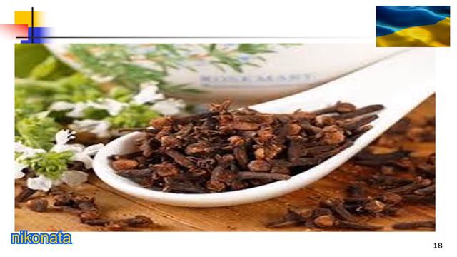 Все про користь та шкоду гвоздики смотреть онлайн