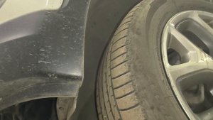 Kia Sorento Prime и Hyundai Palisade рабочий день